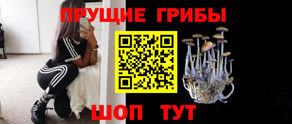 Псилоцибиновые грибы мицелий  Вход с VPN  Псилоцибиновые грибы прущие грибы  Мариинск 